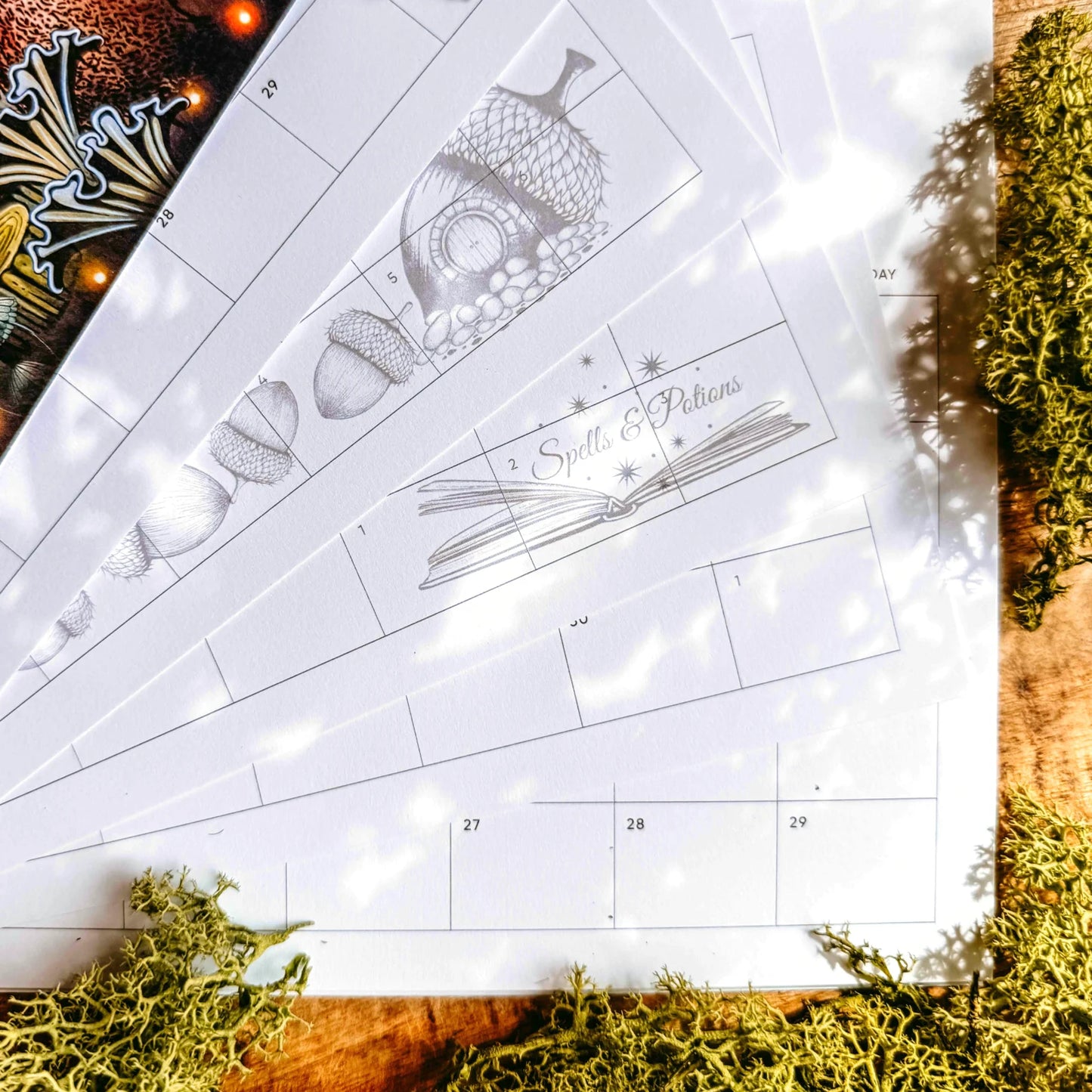 Lavinia 2027 Calendar NEW