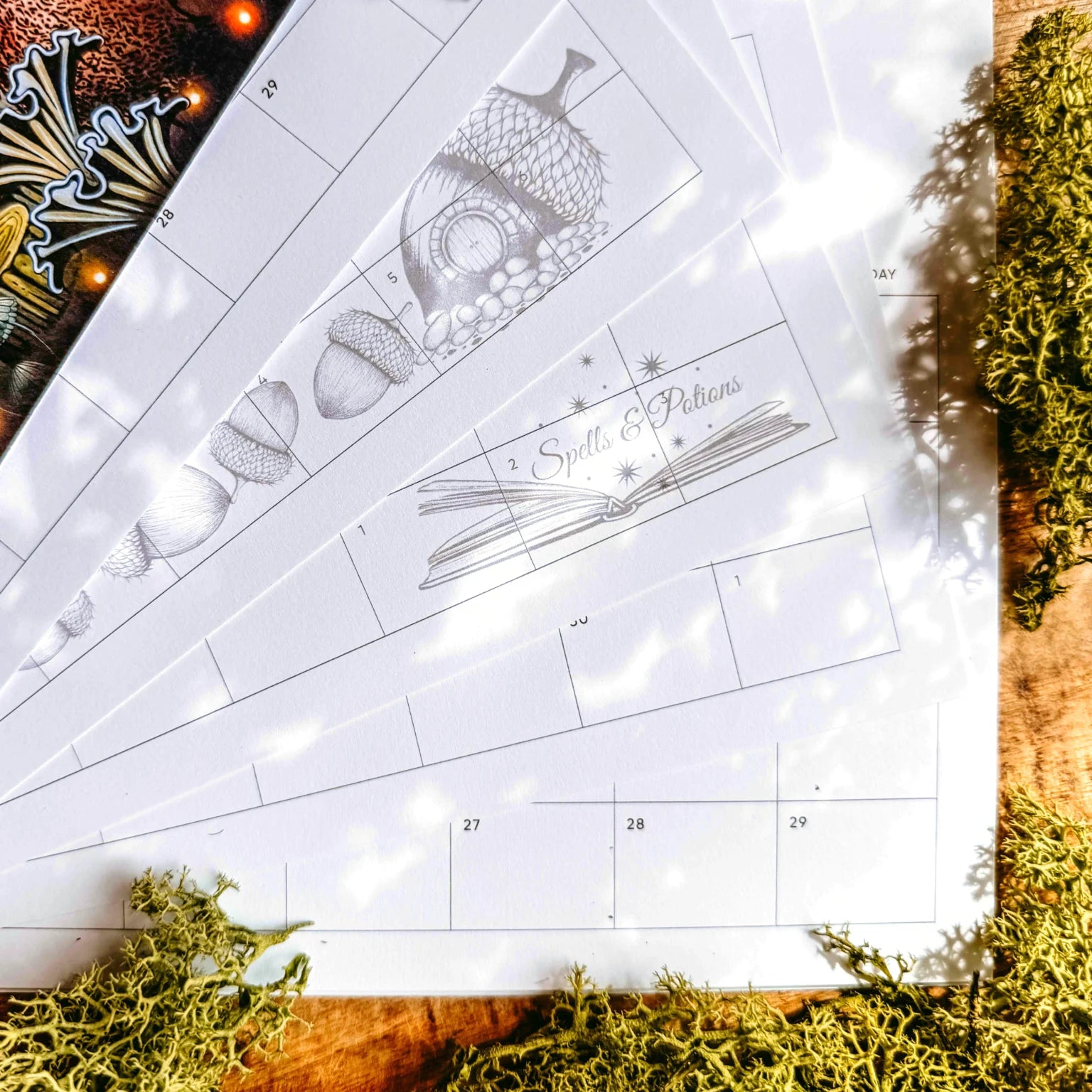 Lavinia 2027 Calendar NEW