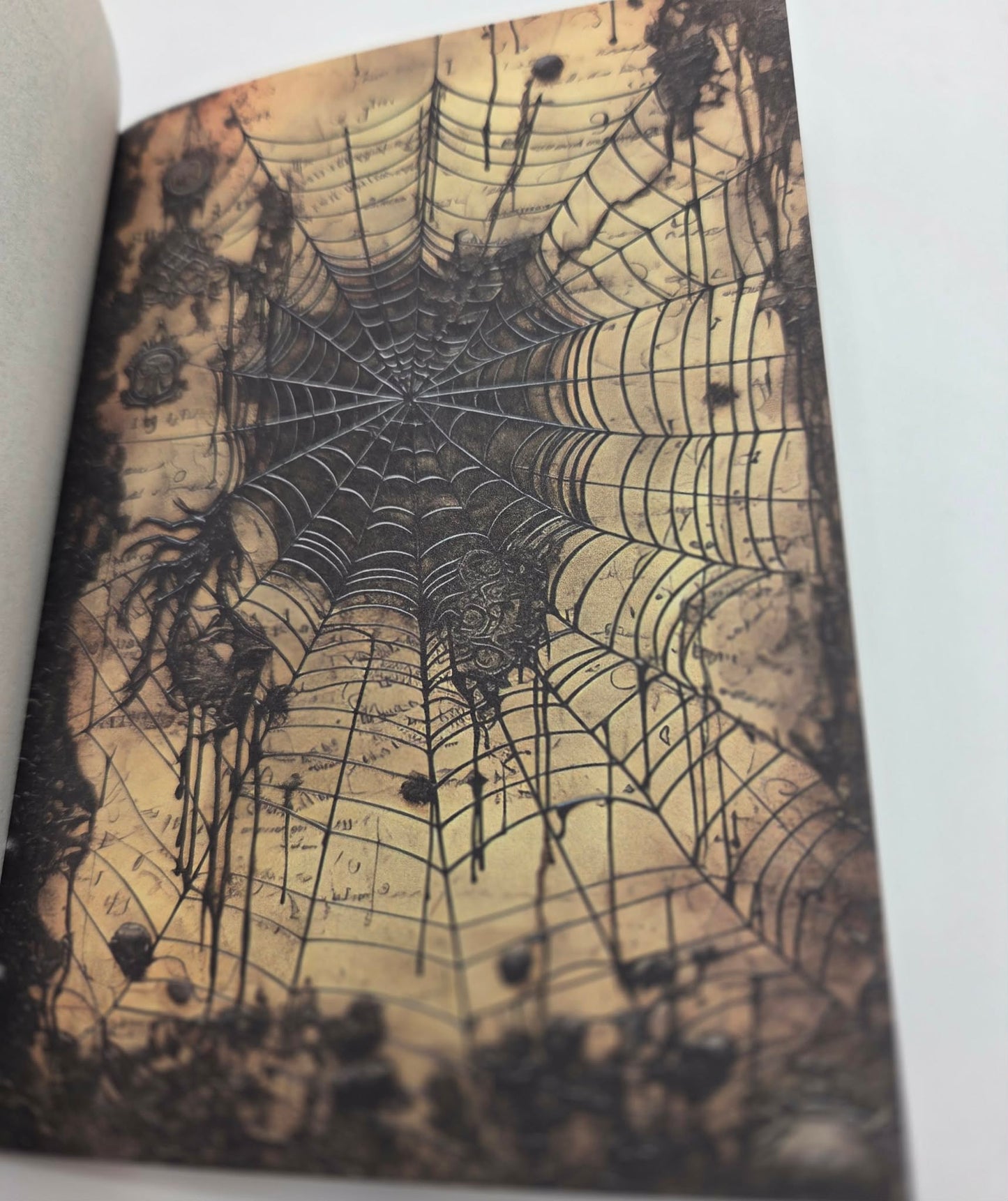 Magic Book Series  - Gothic Webs paper book