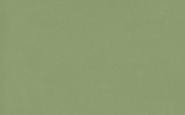 Riviera - Olive A5 Card 270gsm 20 Pack