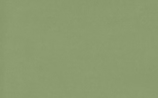 Riviera - Olive A5 Card 270gsm 20 Pack