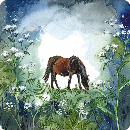 Alex Clark - Coaster - Horse And Cow Parsley