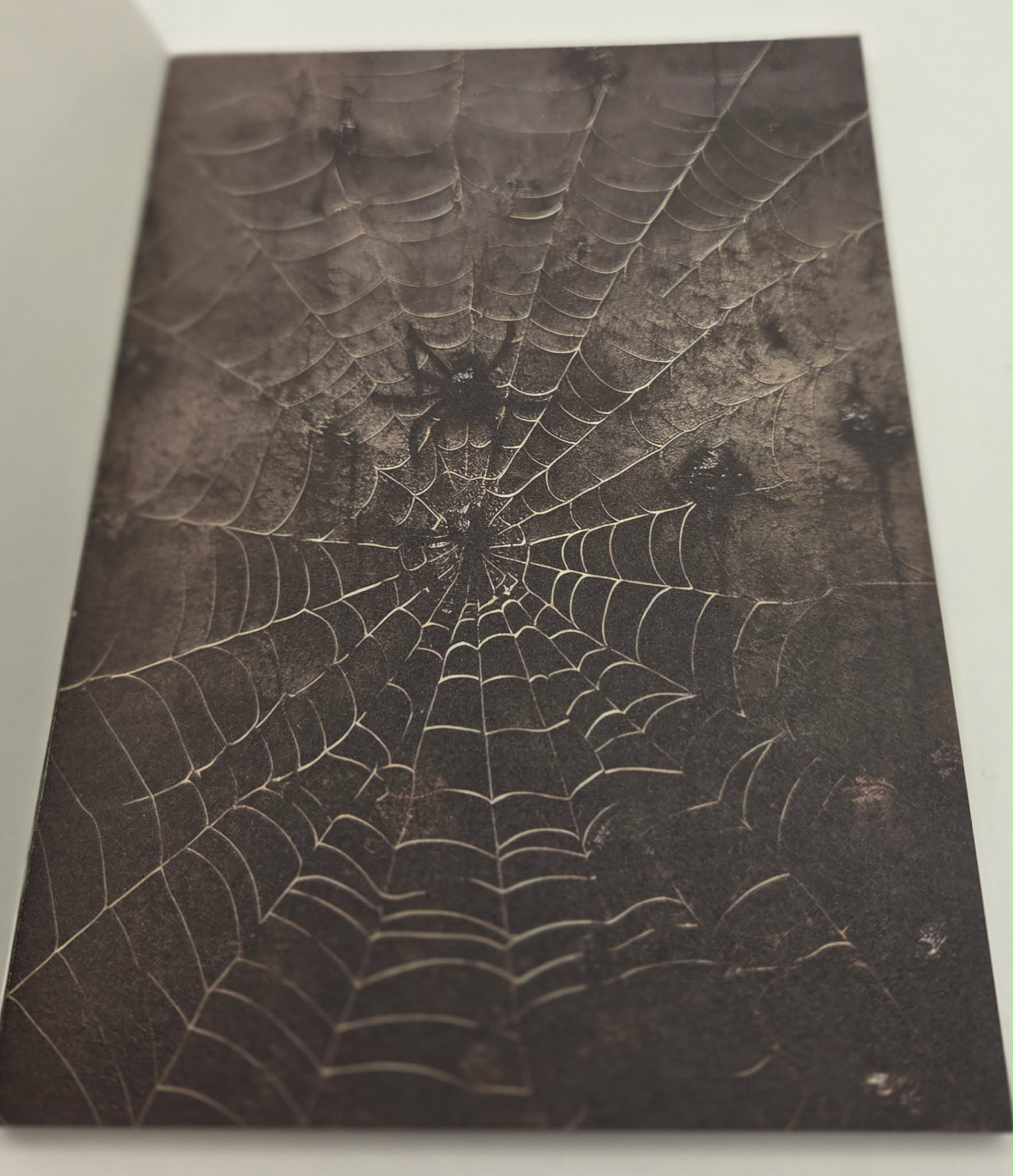 Magic Book Series  - Gothic Webs paper book