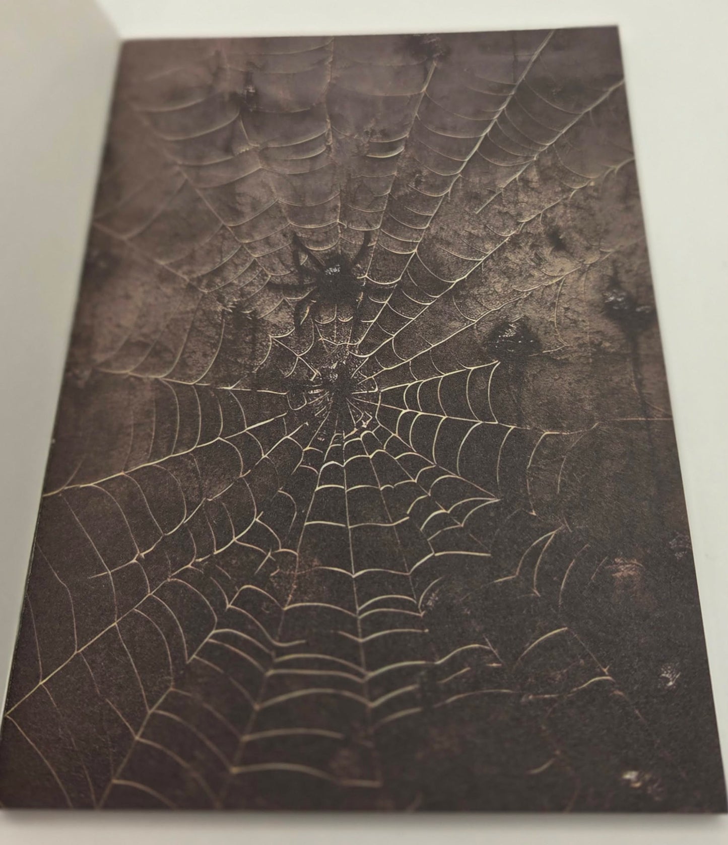 Magic Book Series  - Gothic Webs paper book