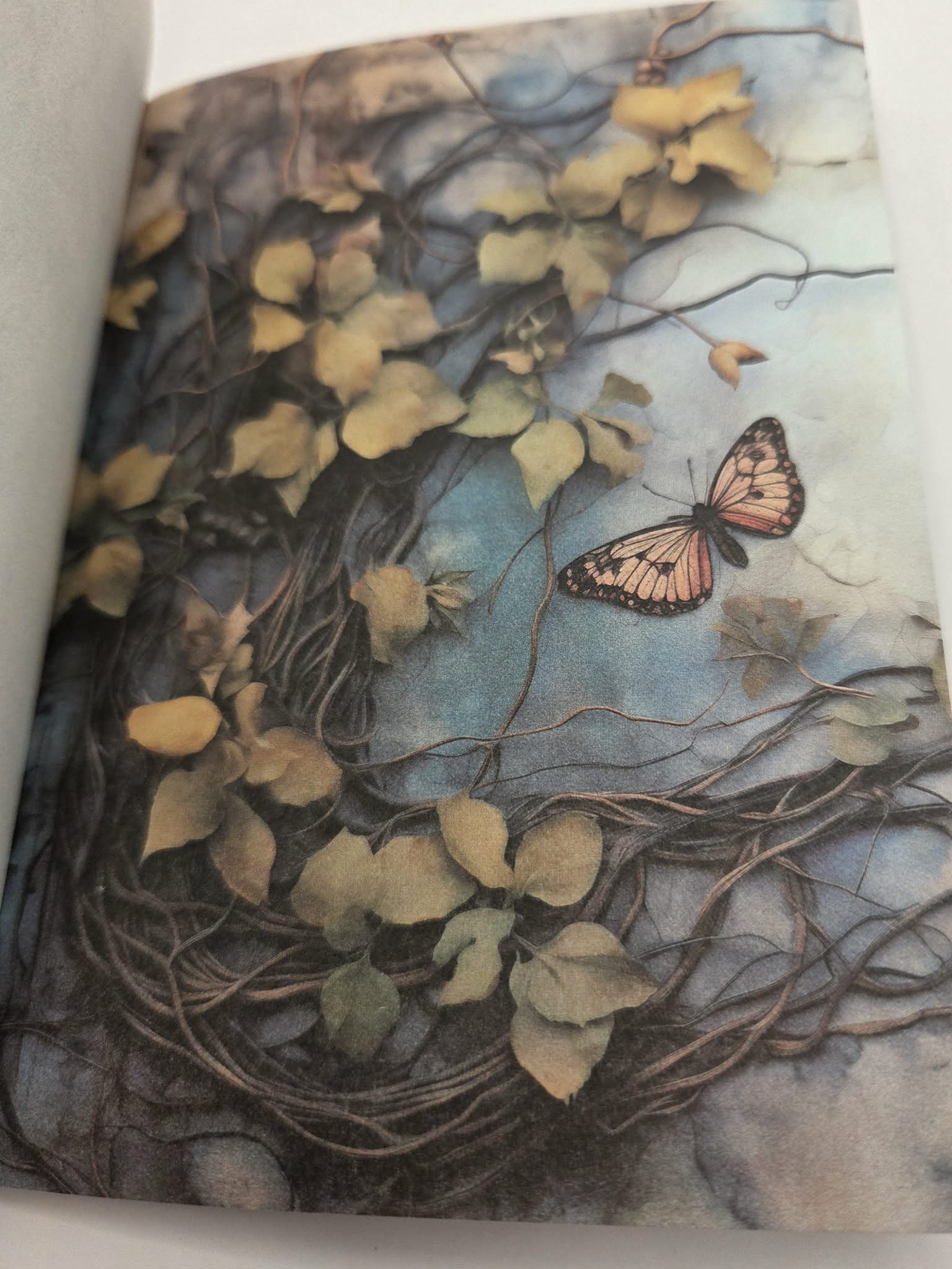 Magic Book Series  - Twisted Trees paper book