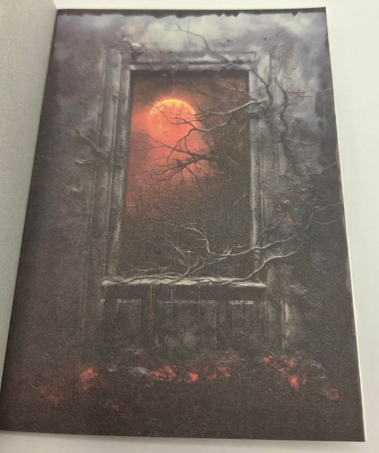 Magic Book Series  - Dark Windows paper book