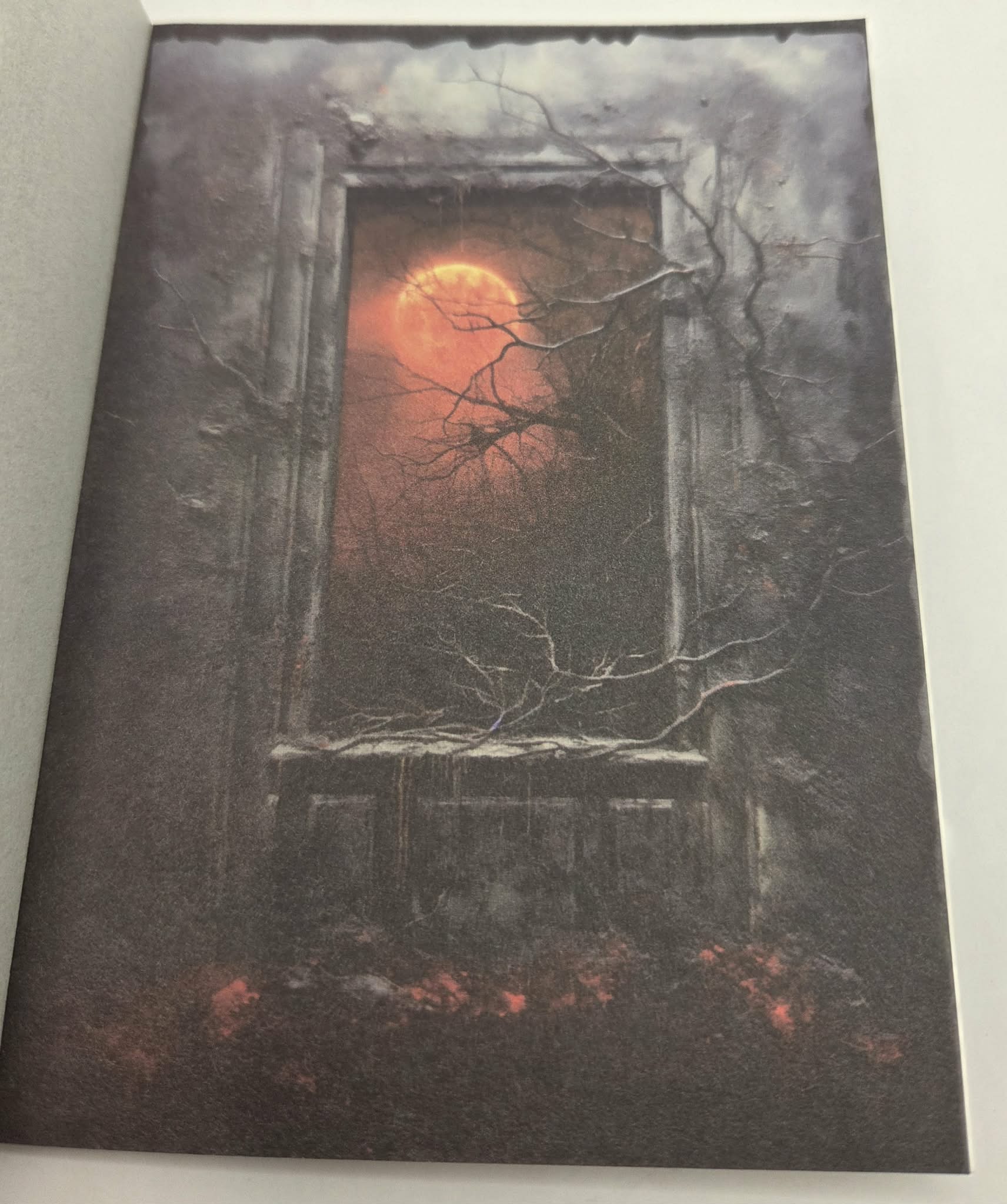 Magic Book Series  - Dark Windows paper book