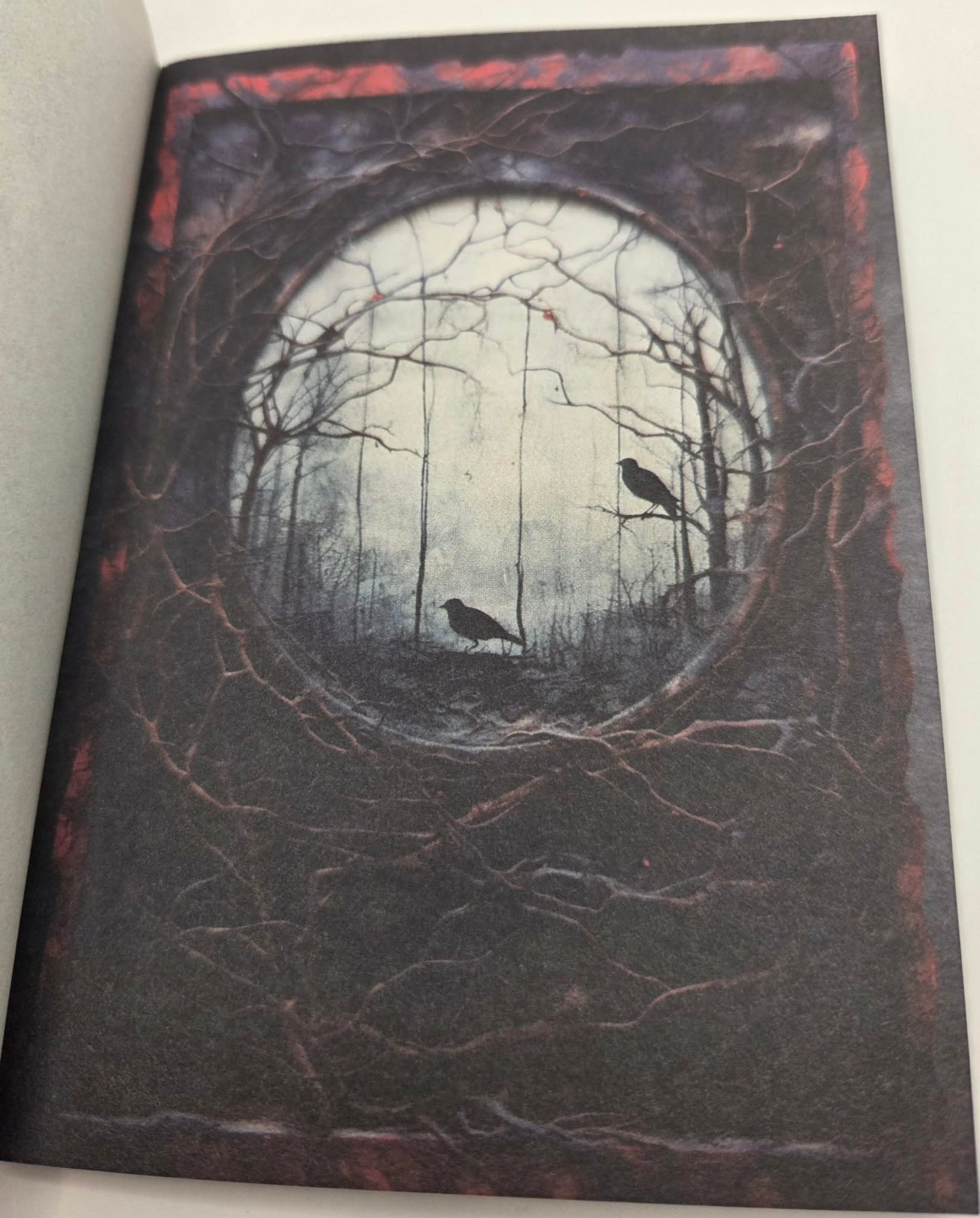 Magic Book Series  - Dark Windows paper book