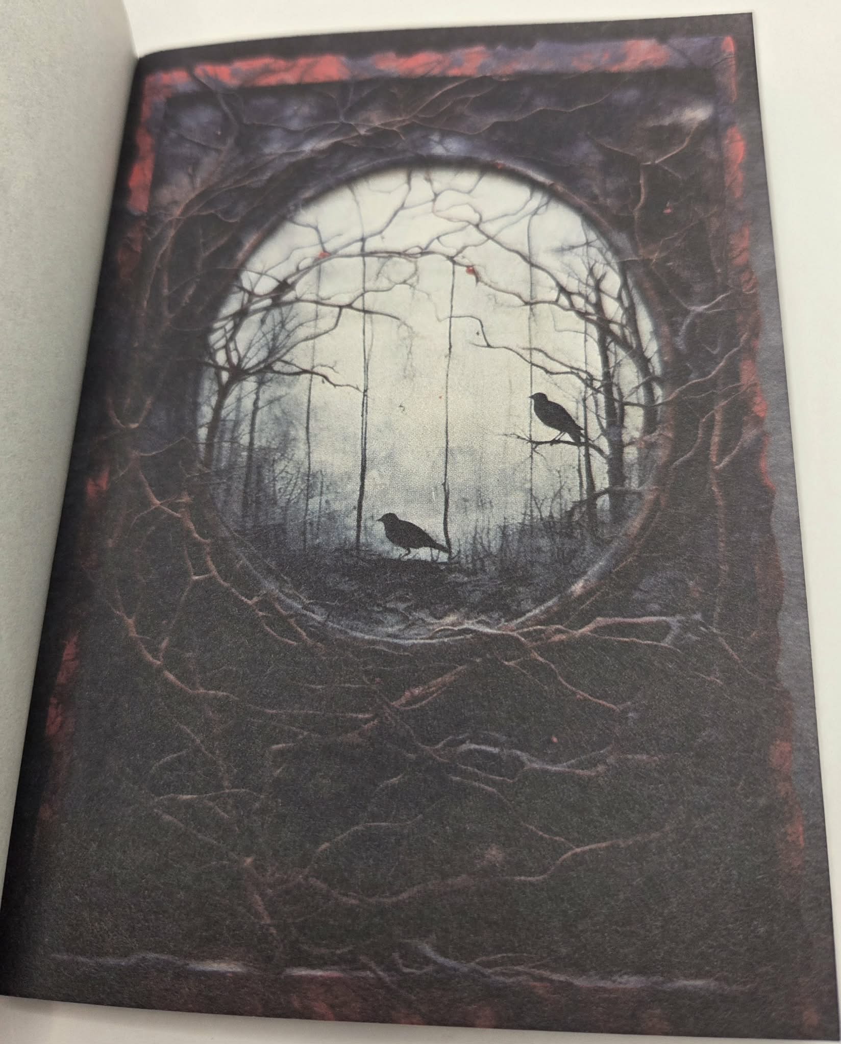 Magic Book Series  - Dark Windows paper book