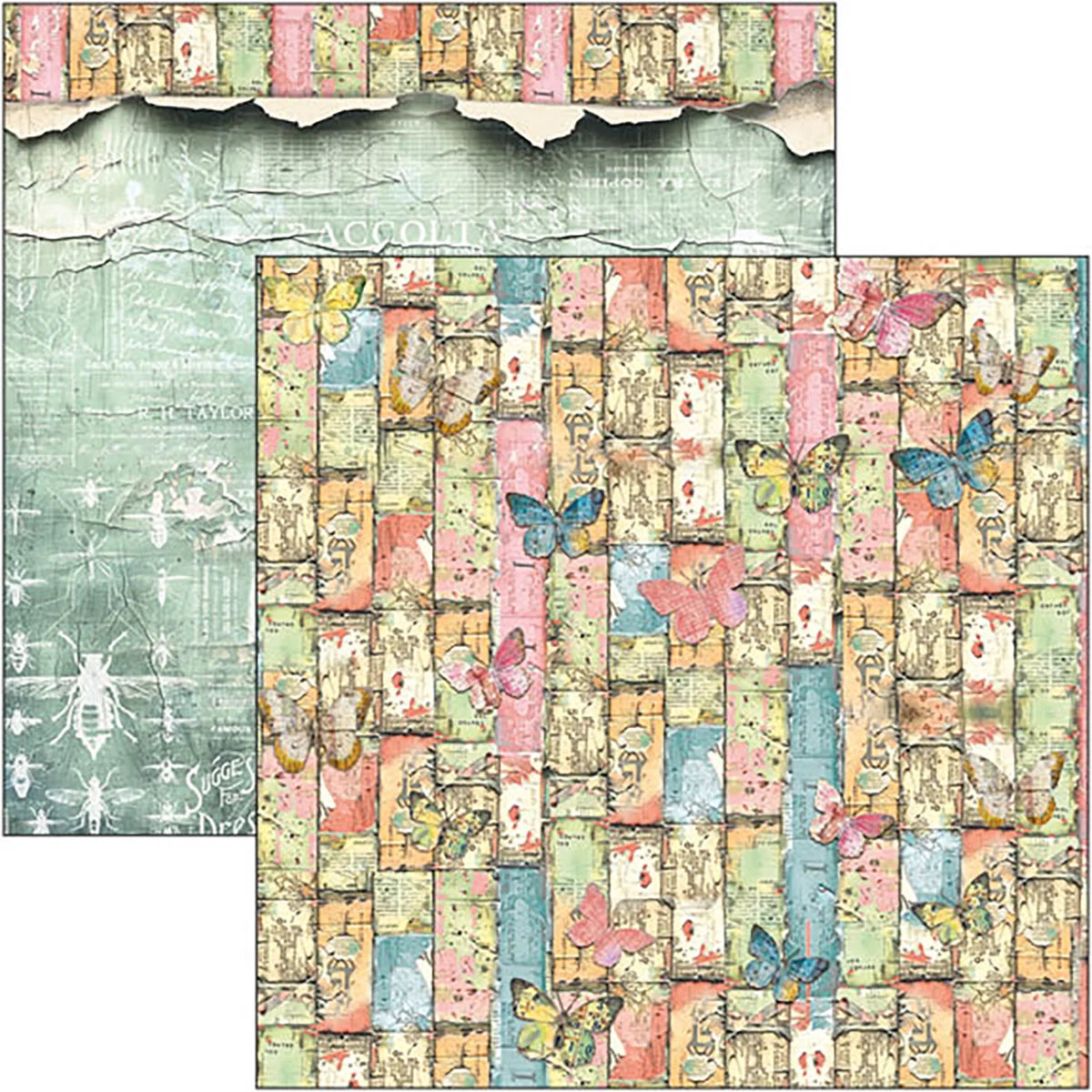 Ciao Bella -  Majestic Dream Paper Pad 8x8  12/Pkg
