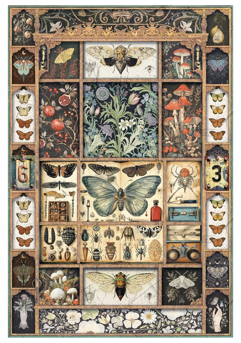 Ciao Bella - Rice Papers -A4 Set  - Cabinet Of Curiosities