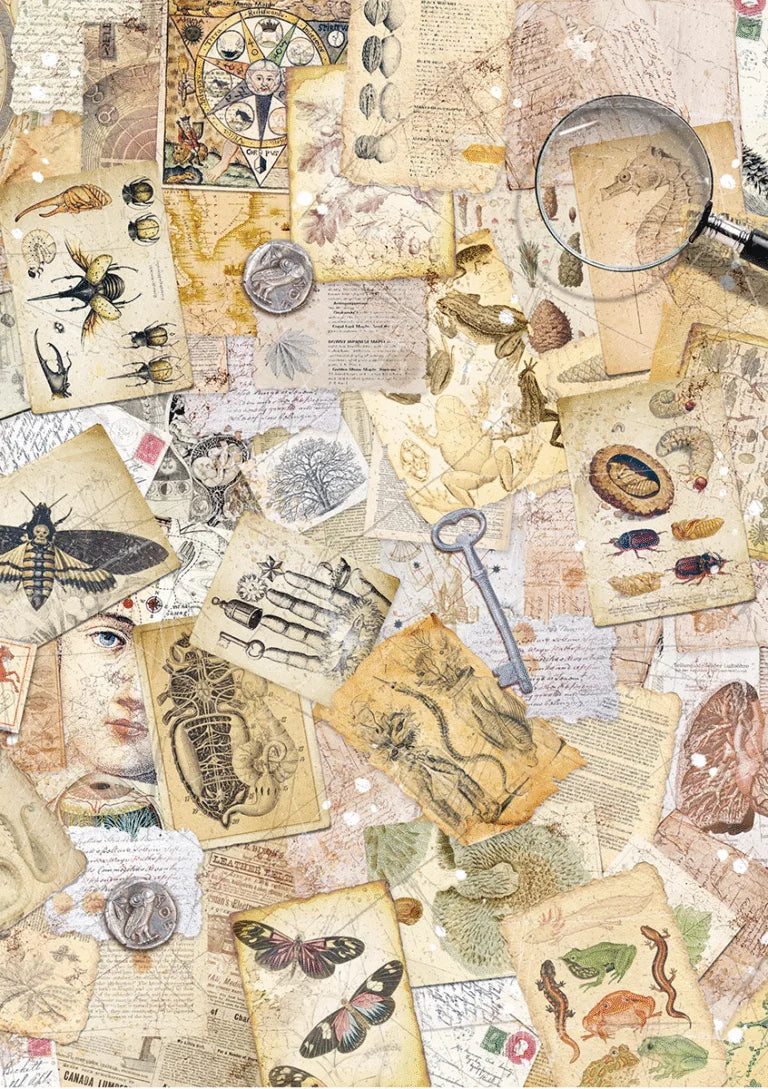 Ciao Bella - Rice Papers -A5 Set  - Cabinet Of Curiosities