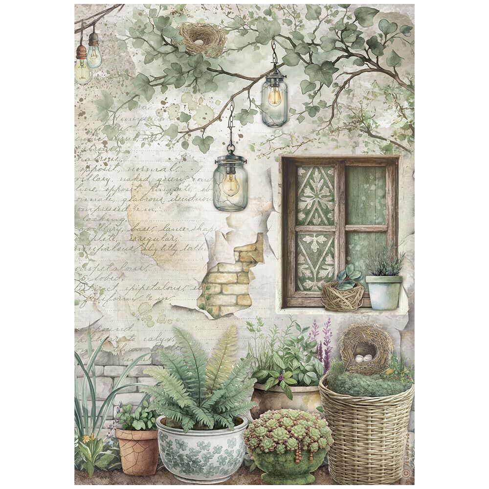 Stamperia - Rice Paper - Windows Herbarium - A4 Sheet 