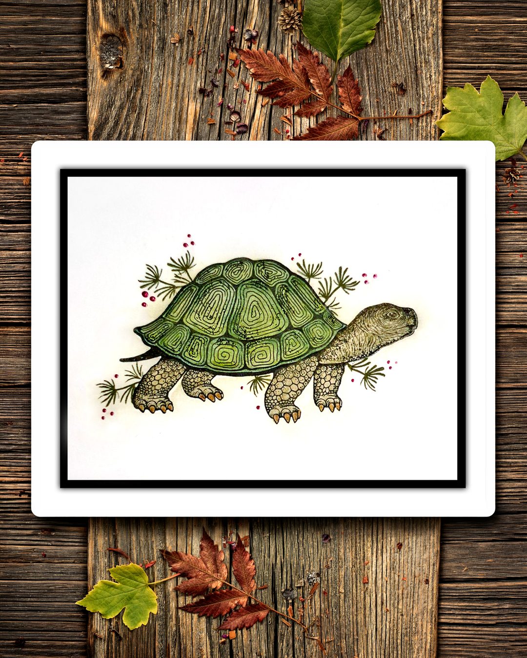 Lavinia Stamps -Oscar