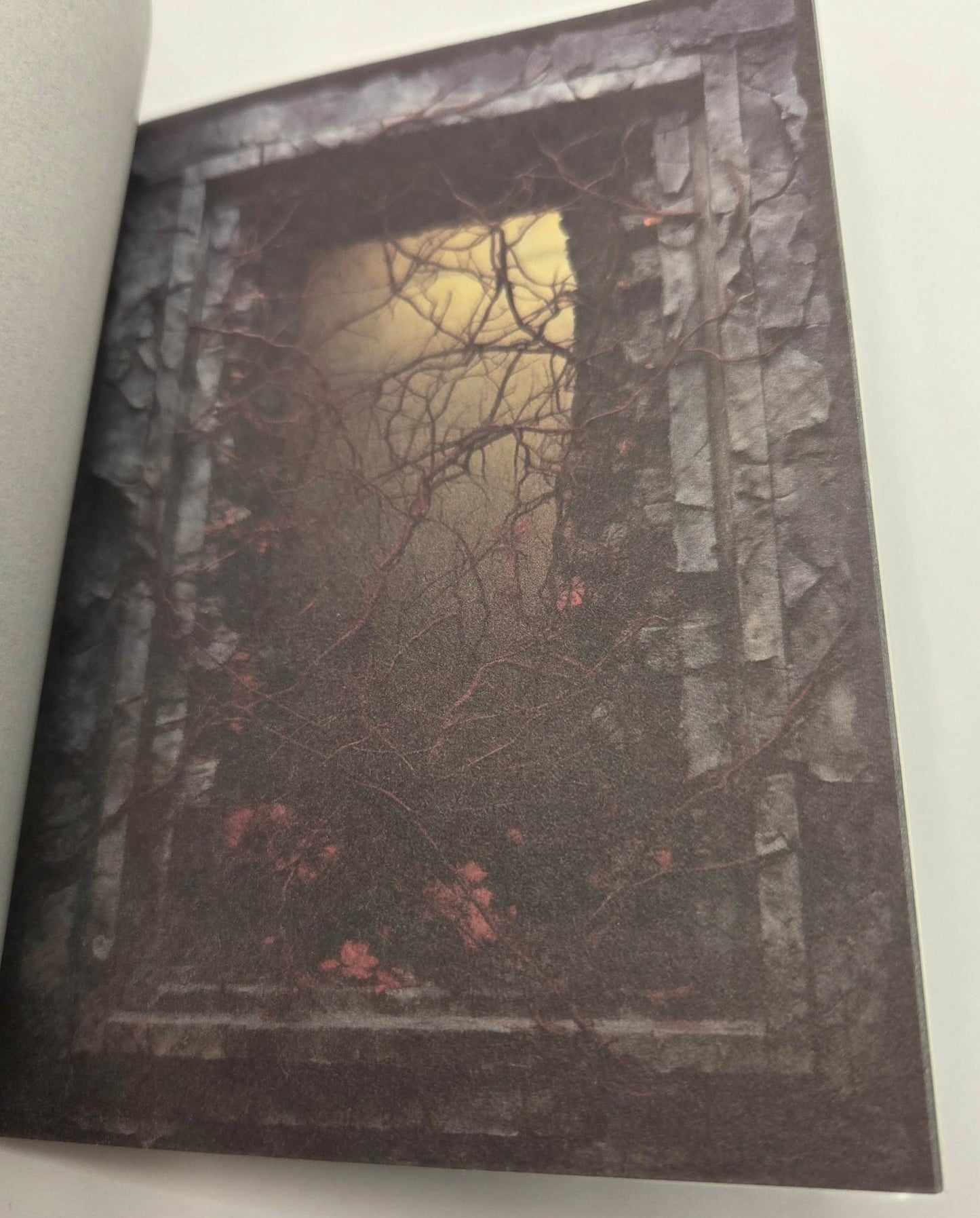 Magic Book Series  - Dark Windows paper book