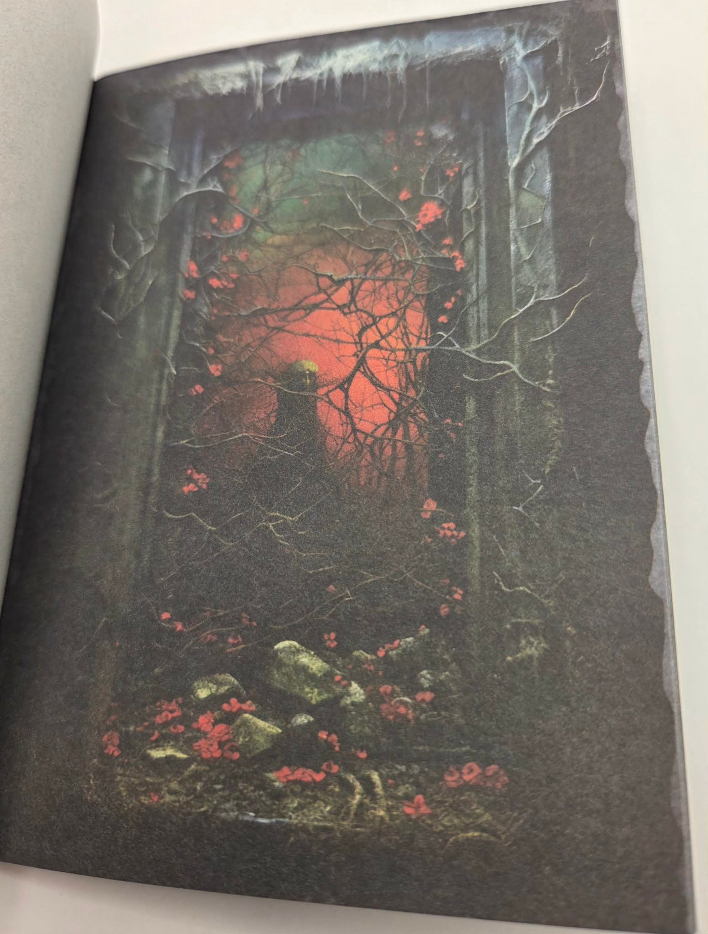 Magic Book Series  - Dark Windows paper book