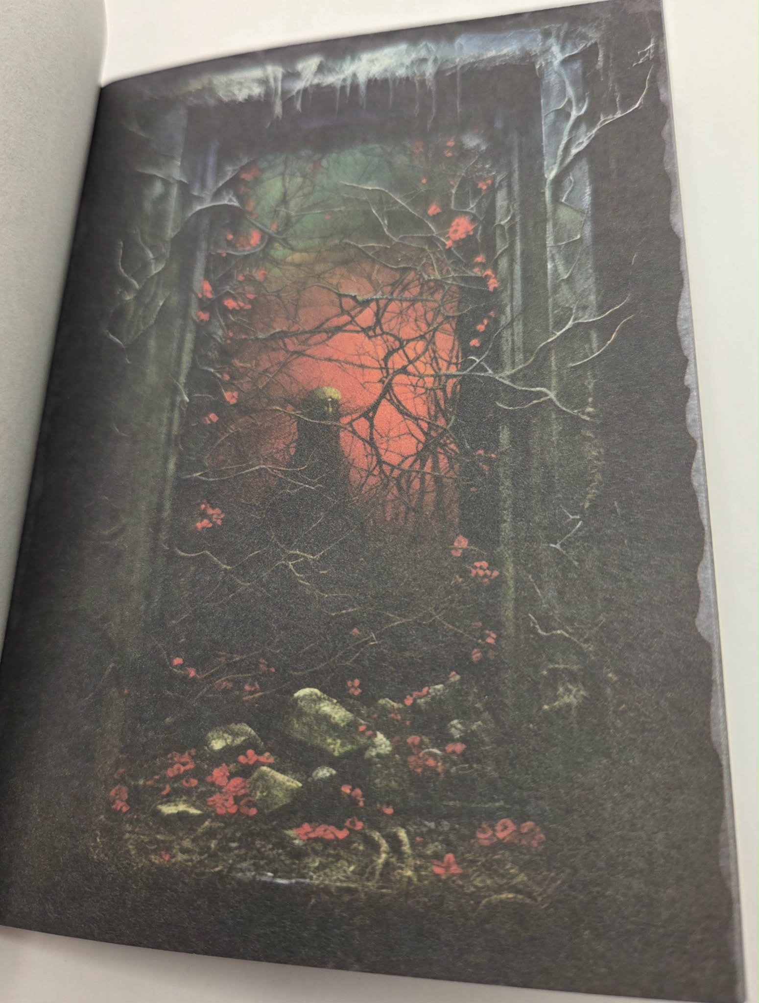 Magic Book Series  - Dark Windows paper book