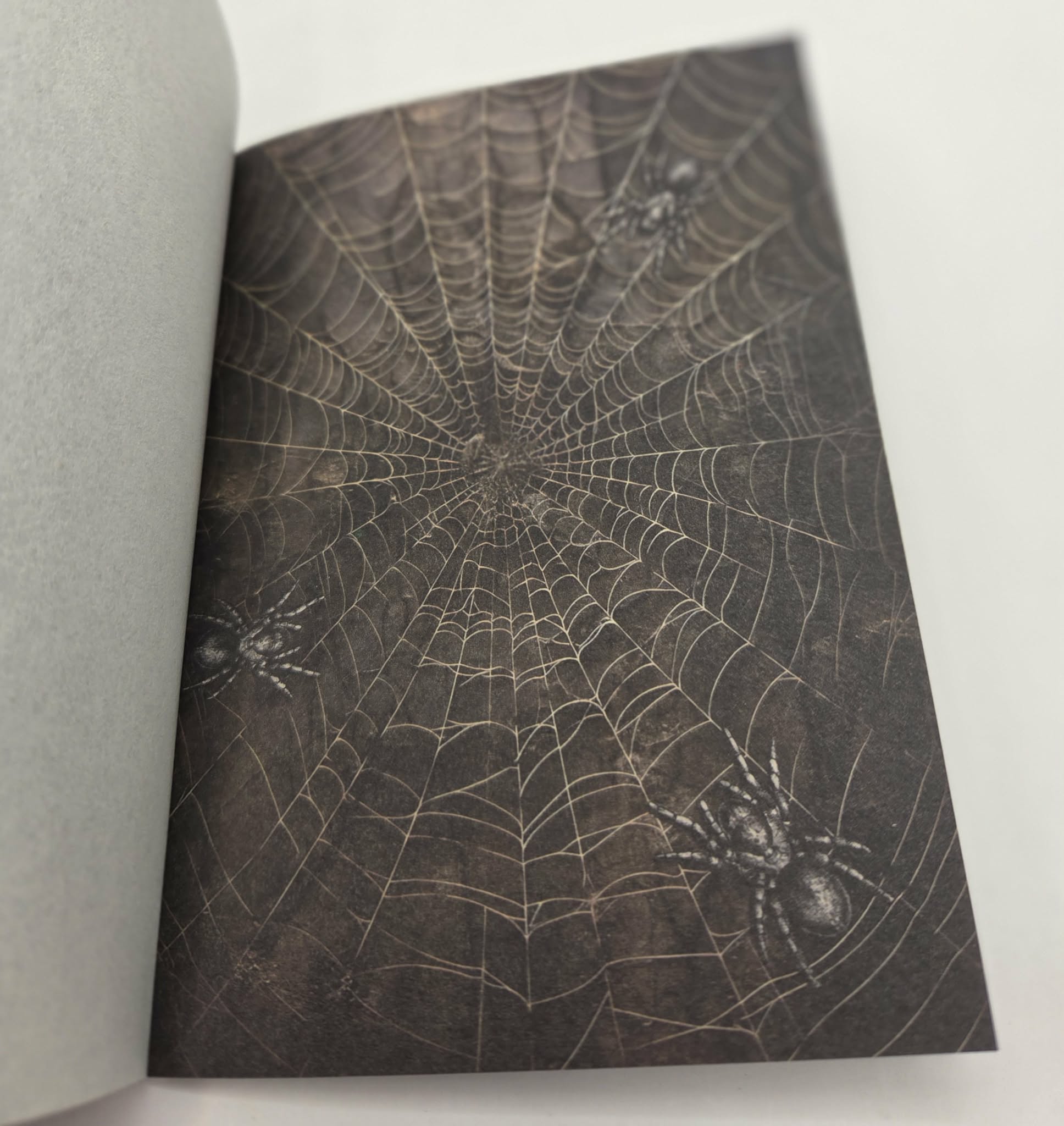 Magic Book Series  - Gothic Webs paper book