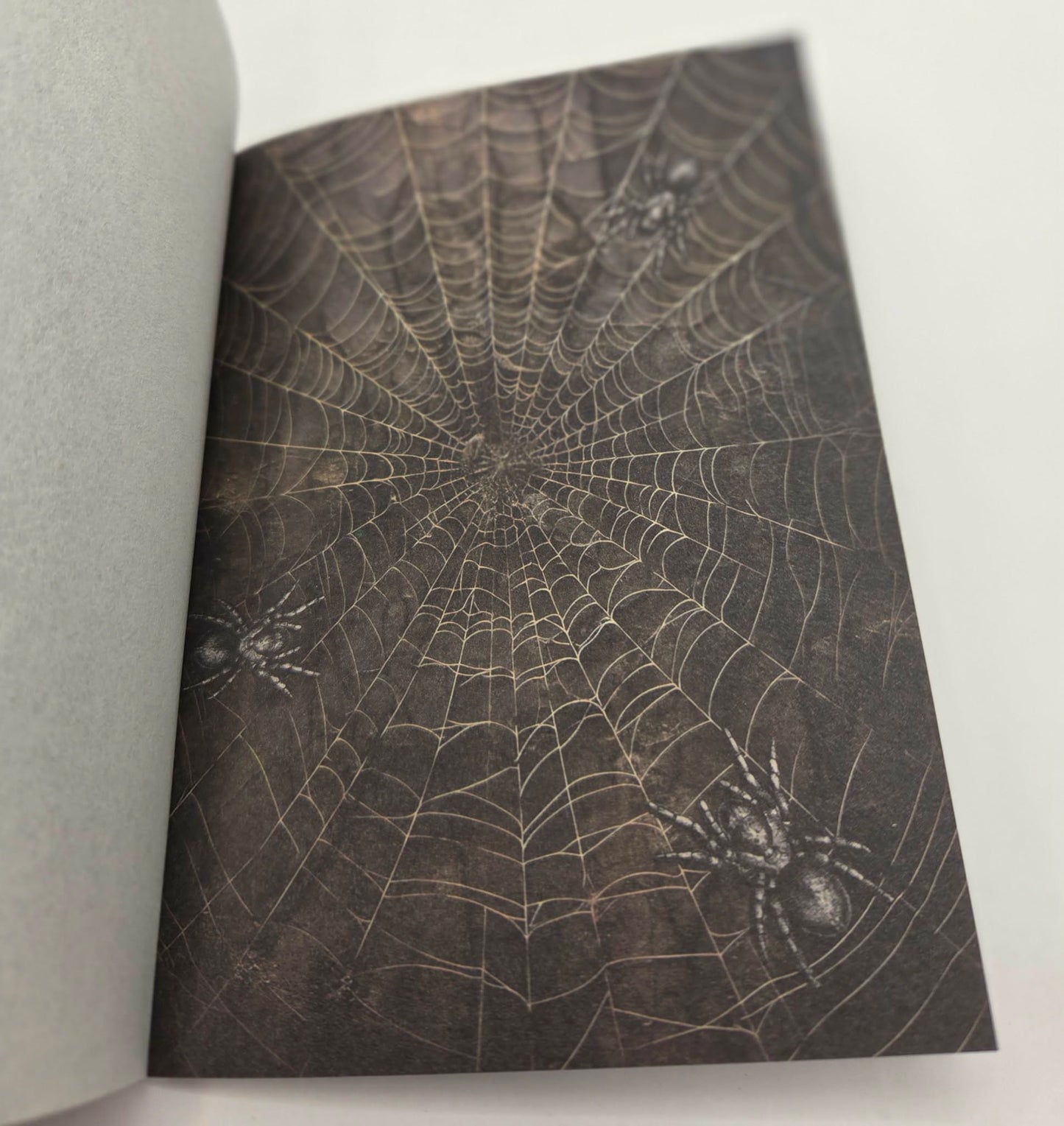 Magic Book Series  - Gothic Webs paper book