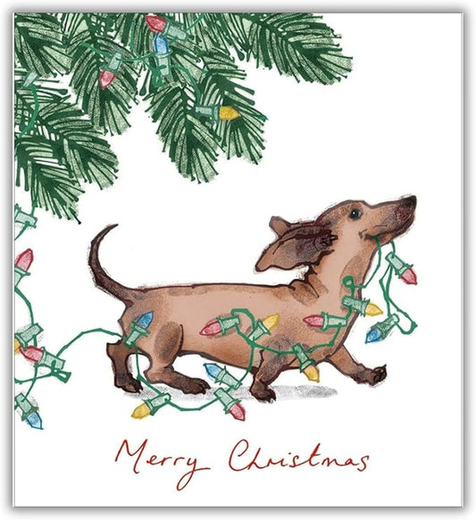 Greeting Cards - Woodmansterne - Dashing Dachshund
