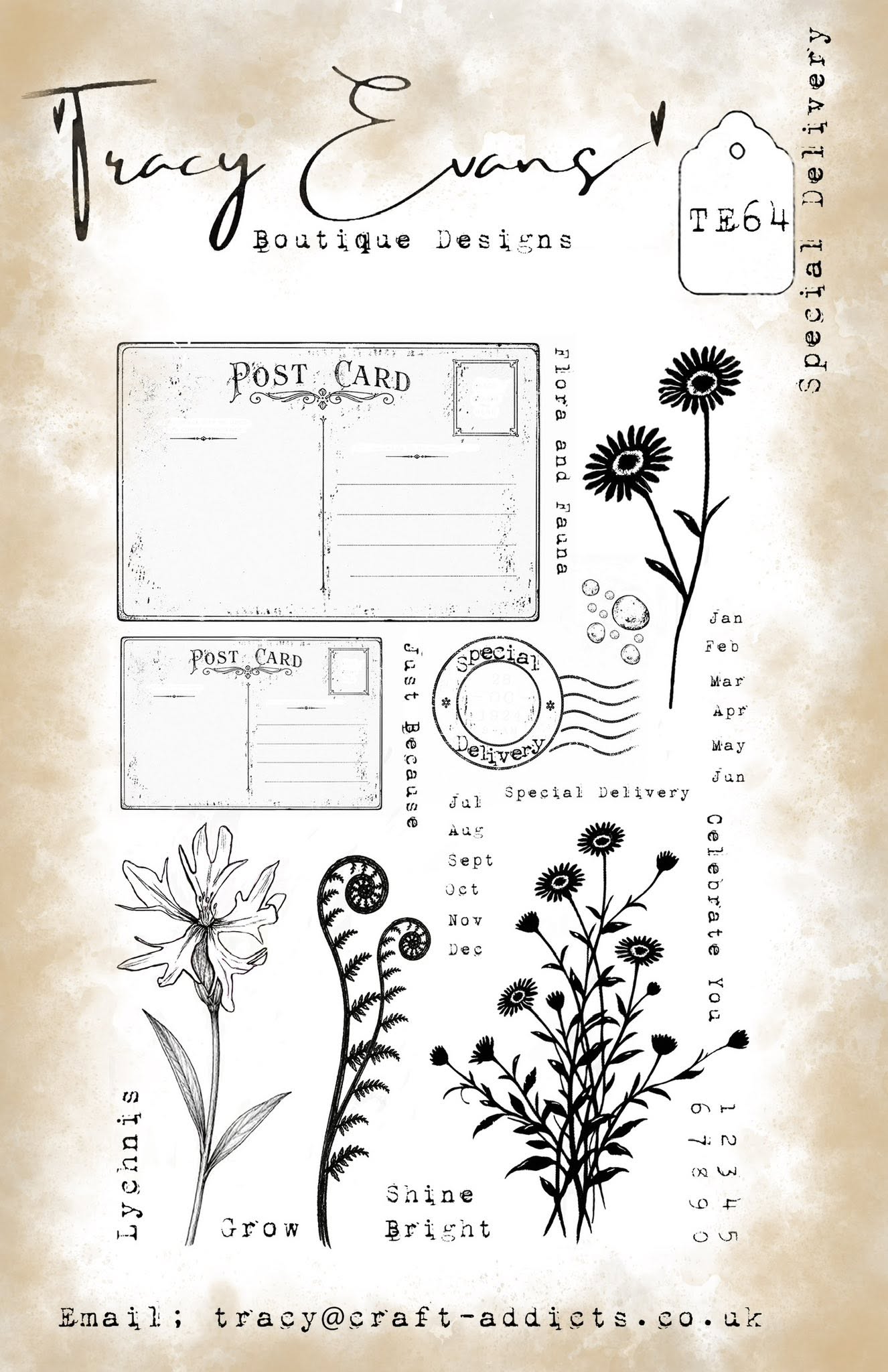 Tracy Evans Boutique Designs - Special Delivery TE64