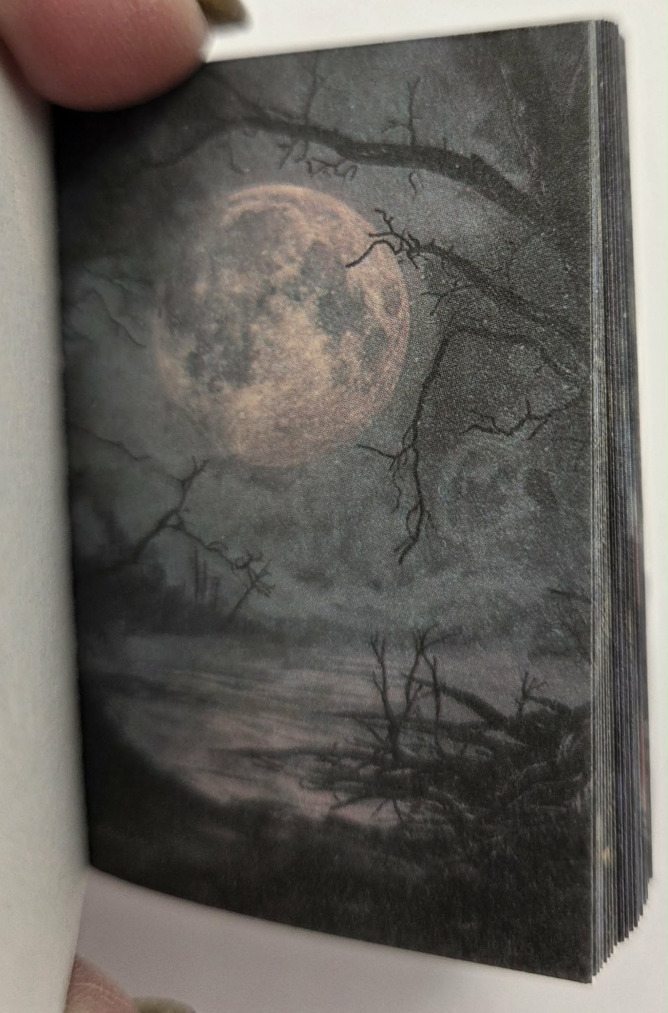 Mini Ephemera Books - Sea Of Stars Falling