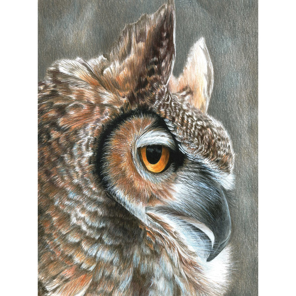Colour Pencil By Numbers - Sepia Owl