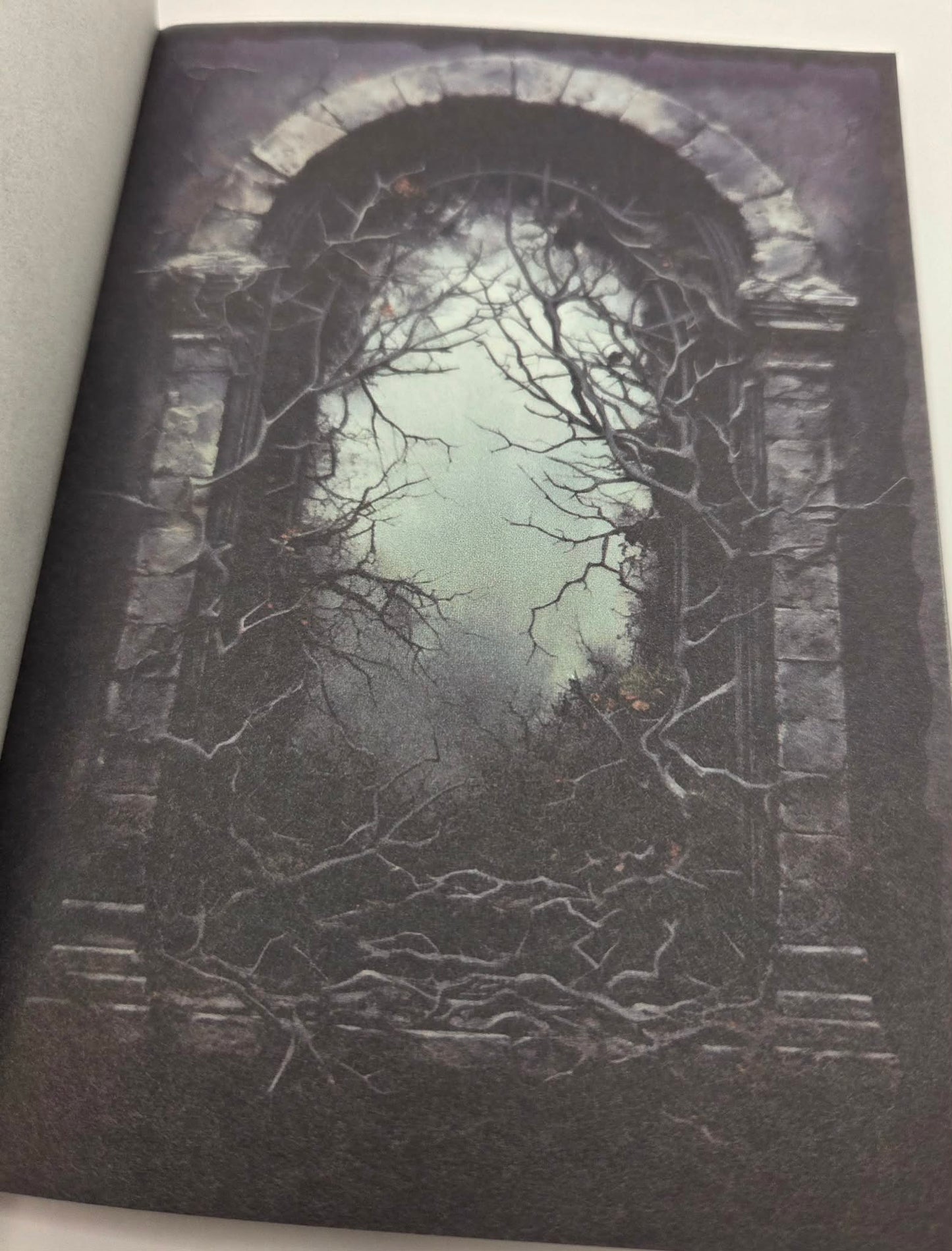 Magic Book Series  - Dark Windows paper book