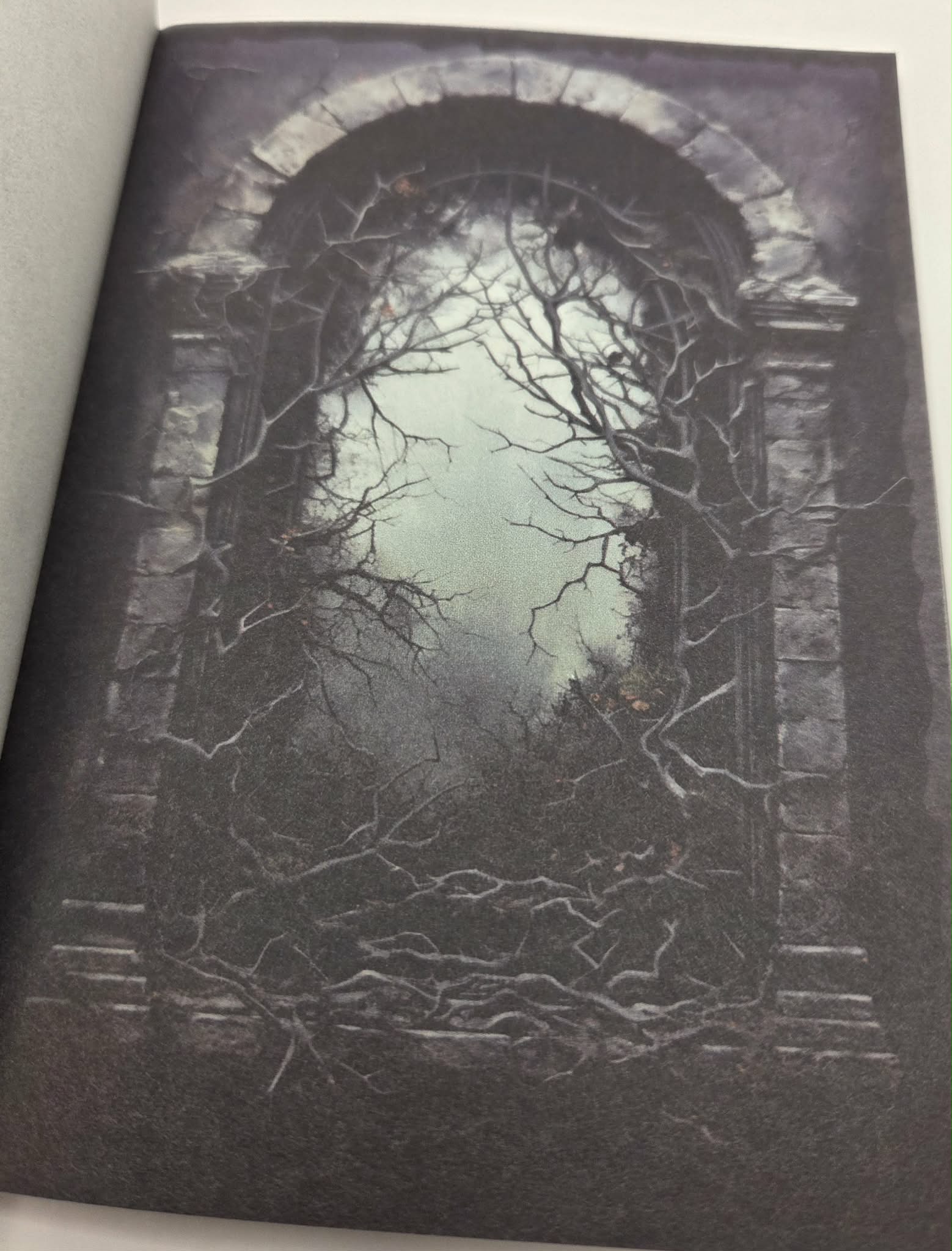 Magic Book Series  - Dark Windows paper book