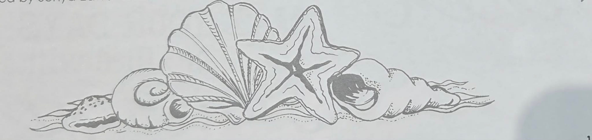 Kaszazz Rubber Stamp - Shell Border