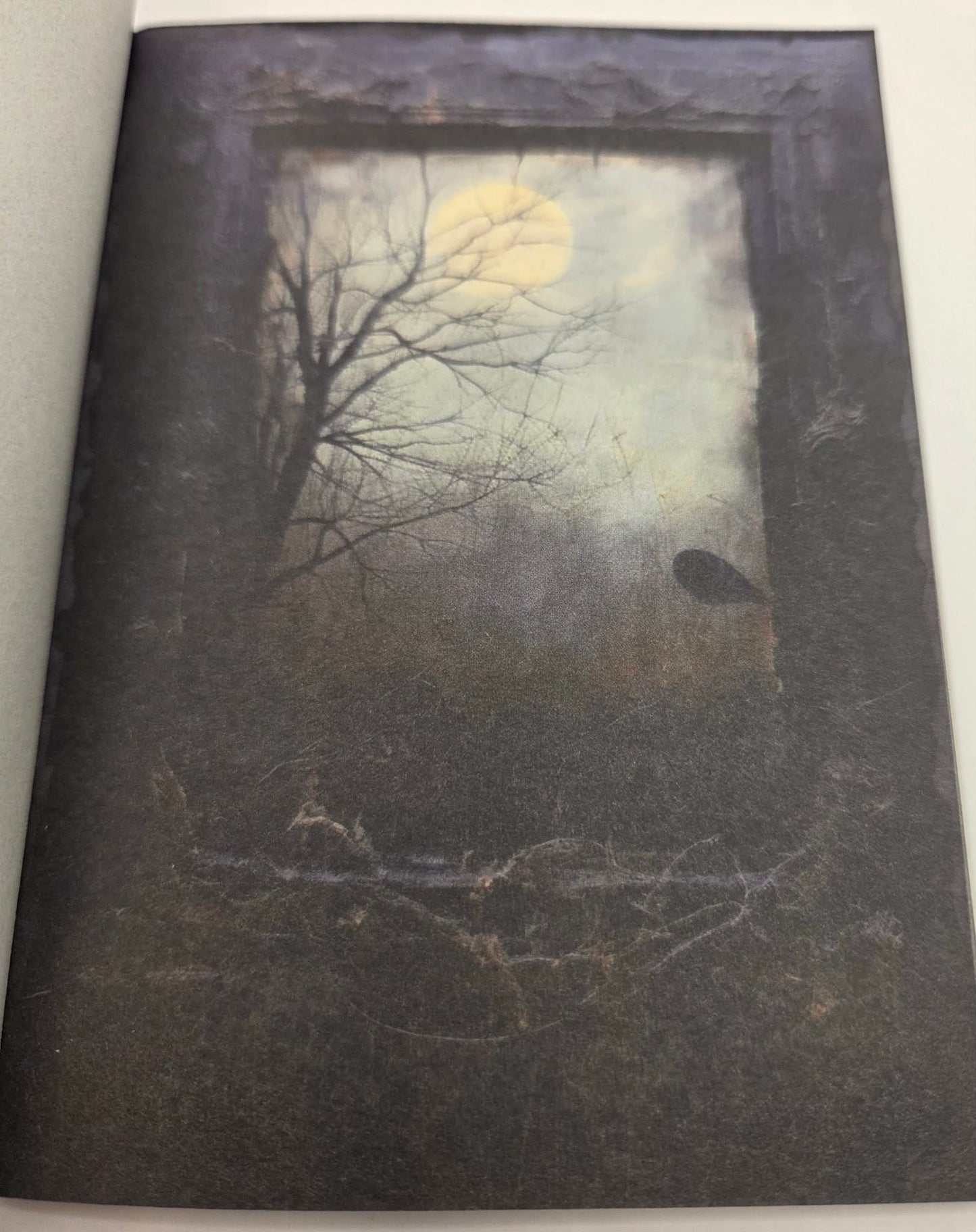 Magic Book Series  - Dark Windows paper book
