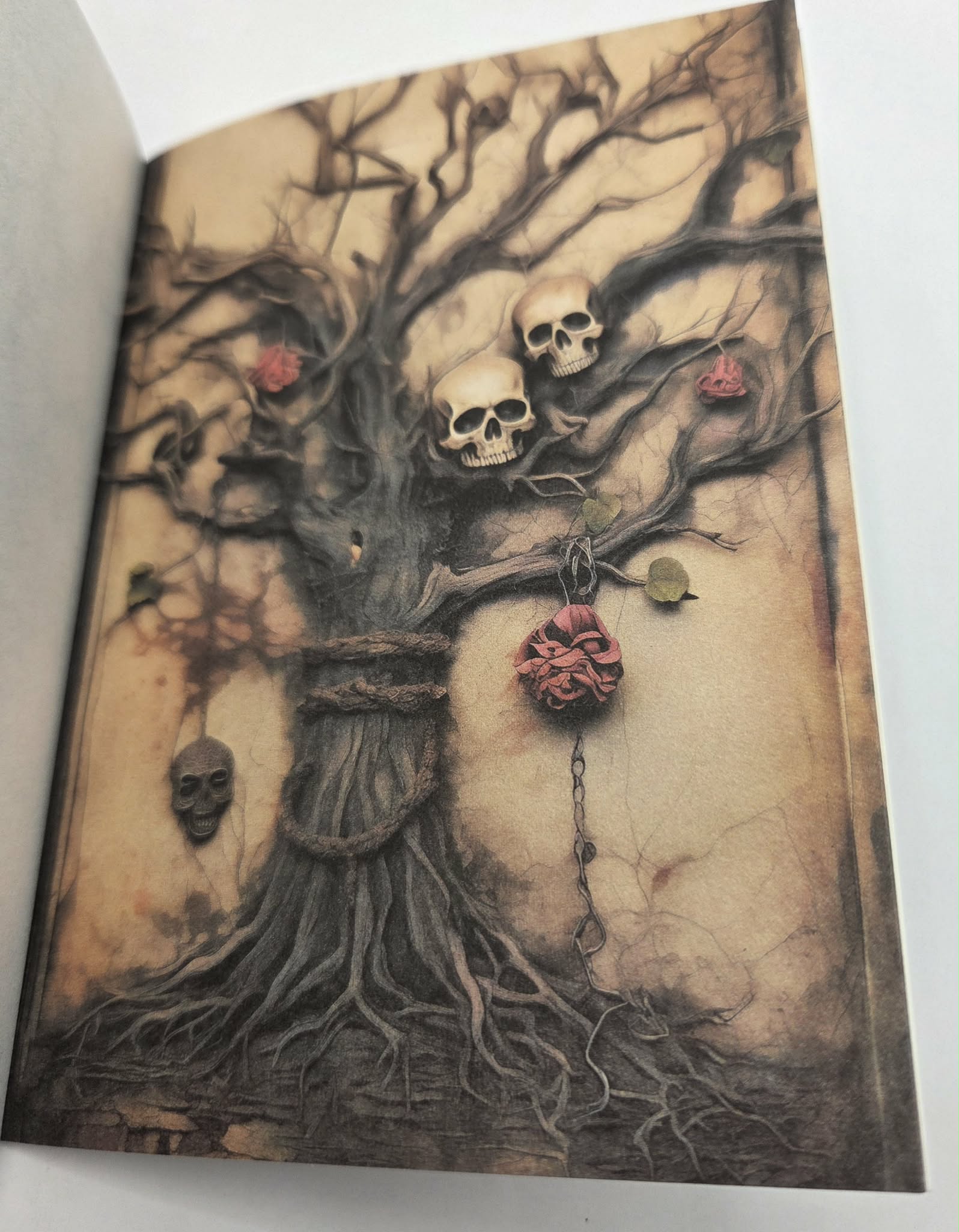 Magic Book Series  - Twisted Trees paper book