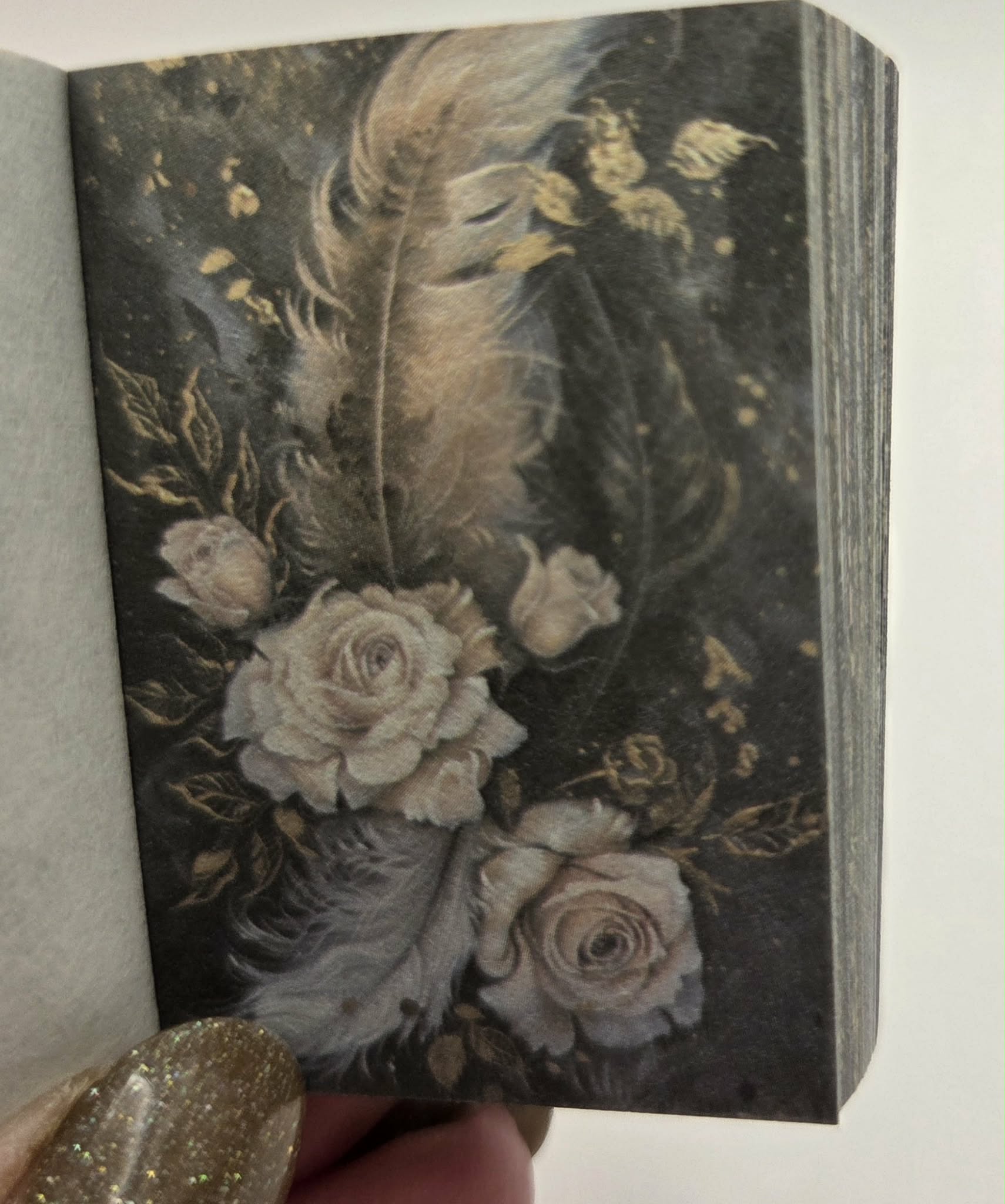 Mini Ephemera books - Butterfly Nocturne