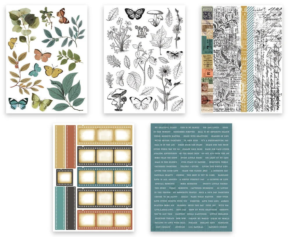 Arden Creative - Amber Ledgers Sticker Book