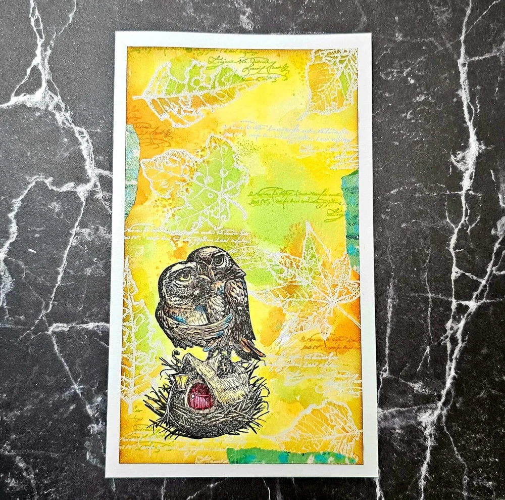 AALL & CREATE - A6 Stamps - Crunched Leafdrop TP - 1109