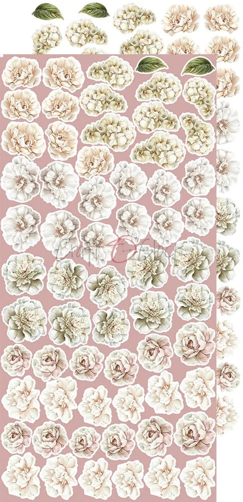 Craft O'Clock - Extras Set - Rose Emotions