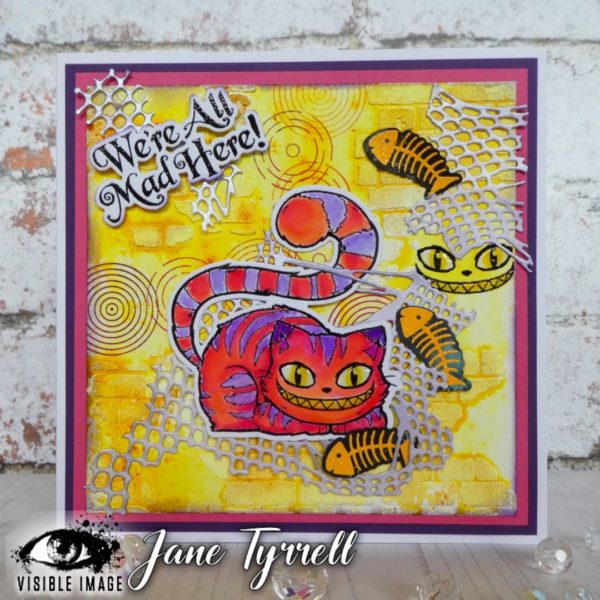 Visible Image Co-Ordinating Dies -The Cheshire Cat