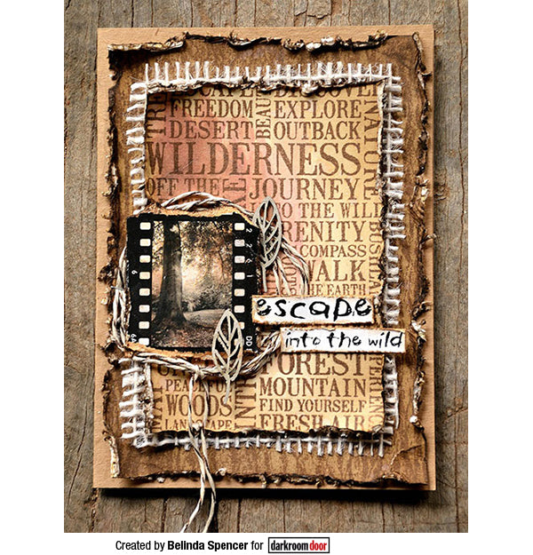 Rubber Stamp - Darkroom Door - Word Block Stamp - Wilderness