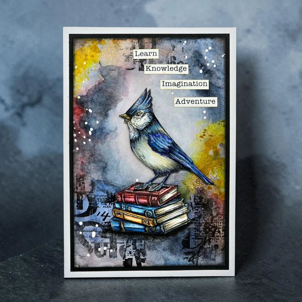 AALL & Create  - A6 Stamps - Write Away TP - 1346