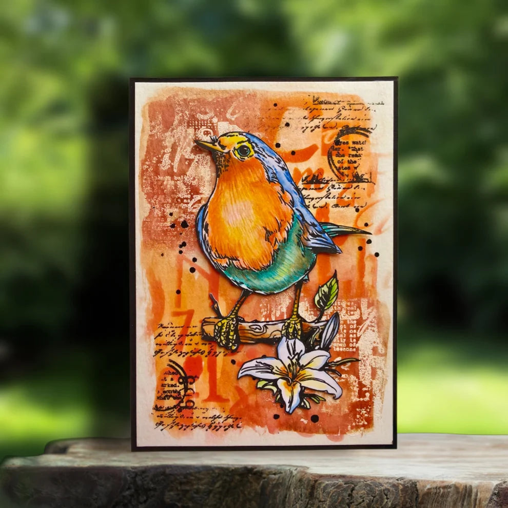 AALL & CREATE - A6 Stamps - Robin Sprout TP #1349