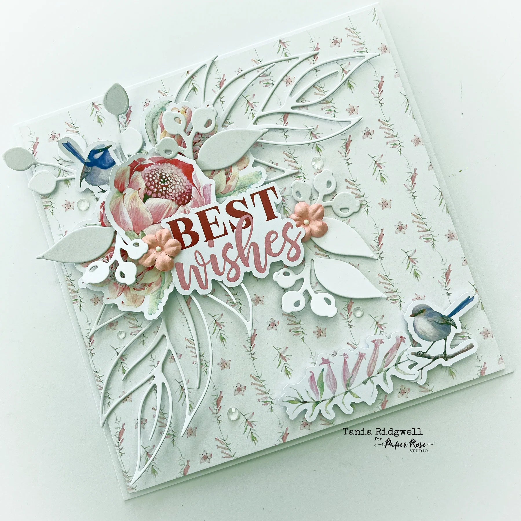 Paper Rose - Natures stroll 2.0 6x6 Paper Collection
