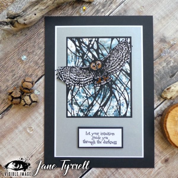 Visible Image clear stamps -Night Owl