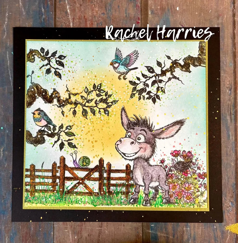 Creative Ember Designs - Clear Stamps - Go Kick