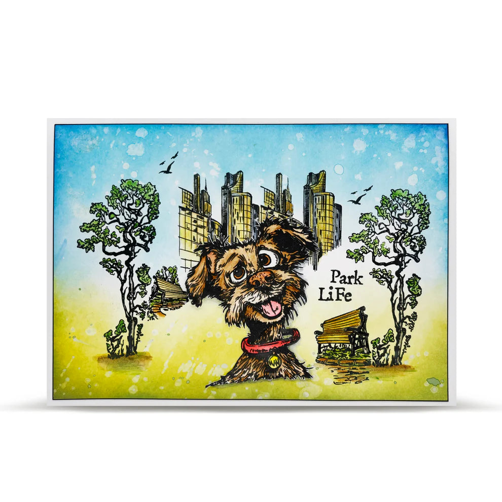 AALL & CREATE - A6 Stamps - Skyline Sniffs #1269
