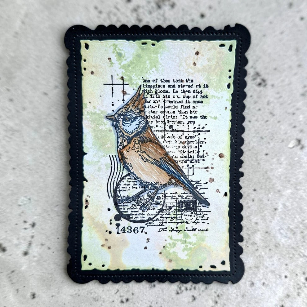 AALL & CREATE - A7 Stamps - Cardinal Stare  #1352