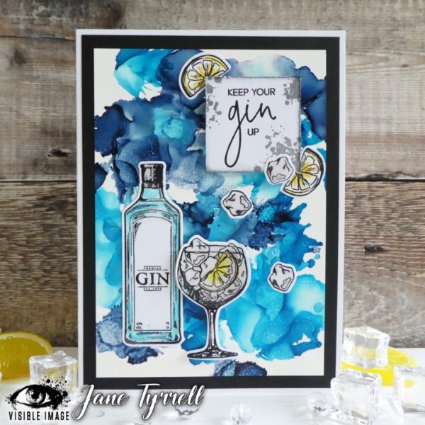 Visible Image Clear Stamps - Keep Your Gin Up