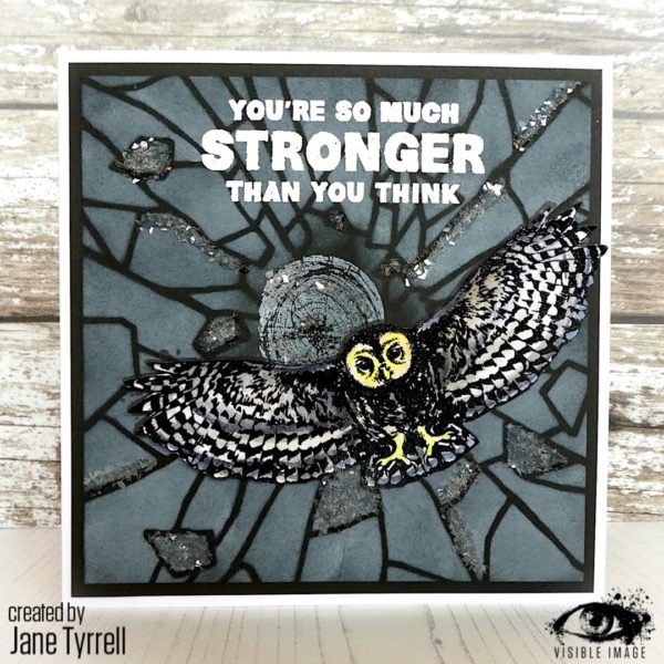 Visible Image clear stamps -Night Owl