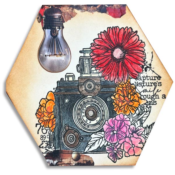 AALL & CREATE - A6 Stamps -Shutter Cogs #1227