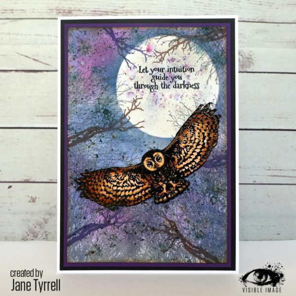 Visible Image clear stamps -Night Owl