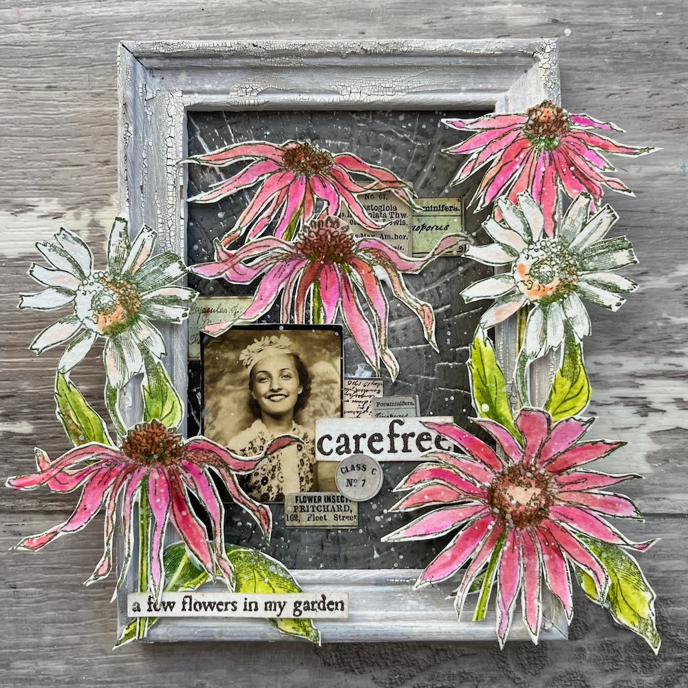 Eclectica³ Alison Bomber Coneflowers Edition EAB49